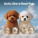 WiggyBuddy image