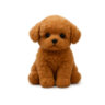 WiggyBuddy Product